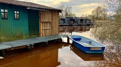Burgunderblutalge färbt Gewässer an Mecklenburgischer Seenplatte rot-braun
