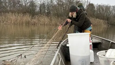 Die letzte Donaufischerin: Katharina Mayer kämpft für eine aussterbende Tradition