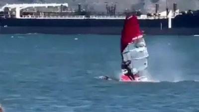 Dramatischer Zusammenstoß: Surfer kollidiert mit Buckelwal in San Francisco Bay