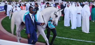 Dubai World Cup: Luxusrennen trotz Kriegsgeschehen im Iran