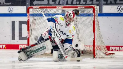 Eisbären Berlin erreichen zum 15. Mal DEL-Endspiel nach Sieg gegen Köln