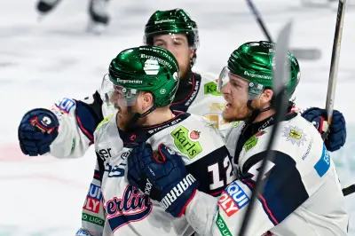 Eisbären Berlin vor Titelverteidigung: Nur noch ein Sieg fehlt
