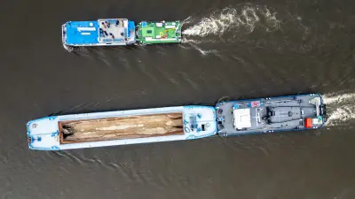 Elbe in Not: Warum Sachsens größter Fluss versandet und welche Maßnahmen helfen