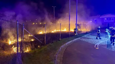 Erneut Vegetationsbrand in Aschersleben: Feuerwehr löscht Flächenbrand an Oststraße