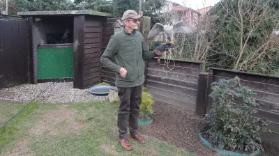 Falknerei in Mecklenburg-Vorpommern: Vom Aussterben bedroht zur UNESCO-Anerkennung