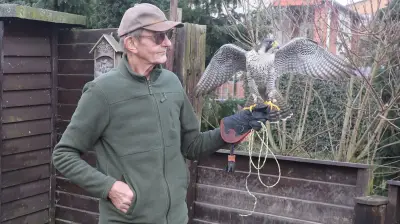 Falknerei in Vorpommern: Vom DDR-Niedergang zur Wiederbelebung einer Jagdkunst