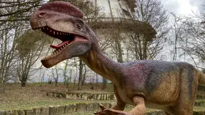 Familien-Abenteuer in Sachsen-Anhalt: Dinos, Jahrmärkte und magische Erlebnisse