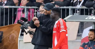 FC Bayern: Leih-Talent Ndiaye überzeugt bei Bundesliga-Premiere und könnte bleiben