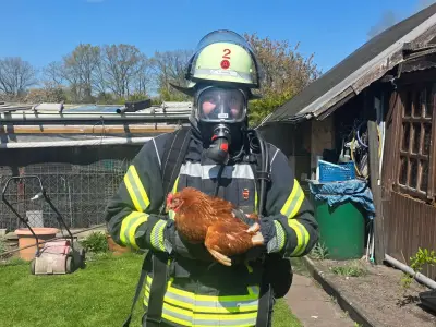 Feuerwehr rettet Hühner bei Brand in Celler Schrebergartenkolonie