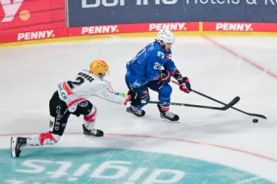 Fischtown Pinguins scheitern im DEL-Viertelfinale: Mannheim dreht Spiel nach früher Führung