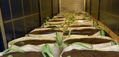 Französischer Zoll entdeckt 1,1 Tonnen Kokain in Blumenerde-Lkw – 75,5 Millionen Euro Wert