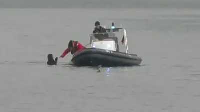 Frau schwimmt zu gestrandetem Wal auf Poel: Polizei-Einsatz per Boot