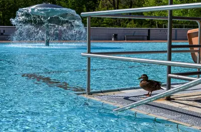 Freibadsaison in Berlin: Neue Expresseingänge und Ausweispflicht