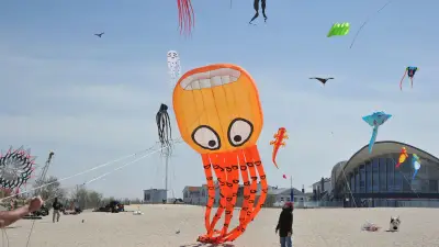 Frühlingserwachen in Warnemünde: Drachenfest und maritime Festmeile locken an die Ostsee