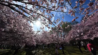 Frühlingswetter erreicht bis zu 26 Grad: Experten warnen vor nächtlichem Frost