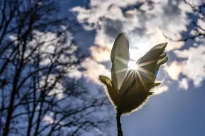 Frühlingswetter in Berlin und Brandenburg: Bis zu 21 Grad und viel Sonnenschein