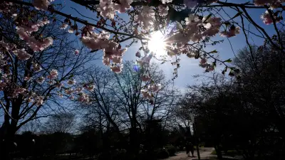Frühlingswetter in Sachsen-Anhalt: Sonne, Frost und Regen wechseln sich ab