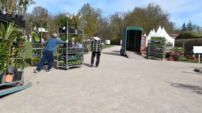 Frühlingszauber im Ludwigsluster Schlossgarten: Pflanzenmarkt mit 80 Ausstellern lockt Tausende Besucher