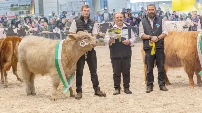 Garsenaer Bullen-Züchter triumphiert bei Agra-Messe in Leipzig