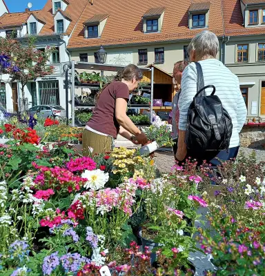 Gartenmarkt, Fackelumzug und Tanz in den Mai: Das ist am langen Wochenende los