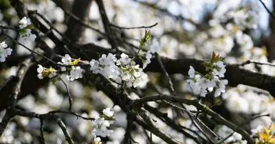 Gewitterfront über Bayern: Erster Gewittersonntag des Jahres bringt Starkregen und Sturmböen