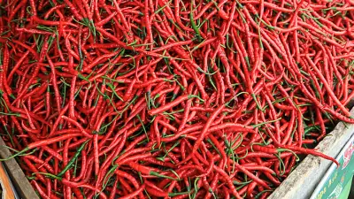 Glassplitter in Gewürz: Rückruf für Premium Chili Set