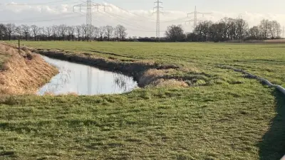 Gülle-Havarie in Gerbisbach: Behörden ermitteln nach Schweinemast-Vorfall