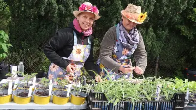 Gnevkow: Kulturflohmarkt mit Handwerk, Musik und Spiel am 2. Mai