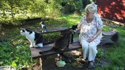 Gnoien sucht nach Lösungen für Katzenhaus nach Pachtende