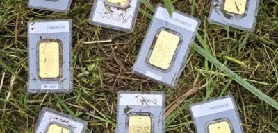 Goldfund in Bannewitz: Gemeinde erhält 40.000 Euro nach erfolgloser Eigentümersuche