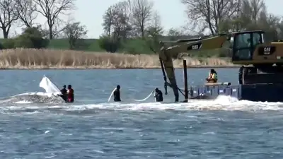 Großeinsatz am Wal: Bagger kämpft um das Leben von Timmy