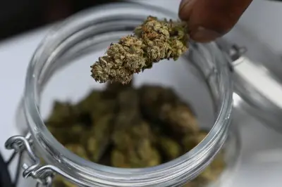 Halle: Polizei fasst mutmaßliche Drogenhändler - Waffen und Bargeld sichergestellt