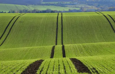 Hund mit zugebundener Schnauze in Apolda ausgesetzt: Besitzer suchte Hilfe bei Polizei
