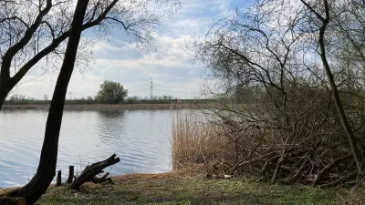Illegaler Kahlschlag am Lübkower See: Täter unerkannt