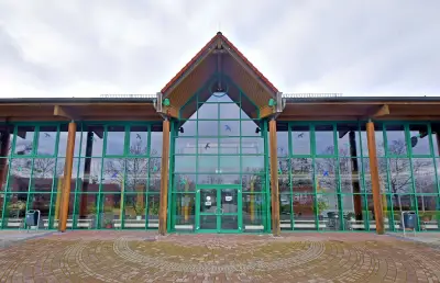 Jubel in Wolfen: Marode Sporthalle Krondorf erhält 2,25 Millionen Euro aus Bundes-Sportmilliarde