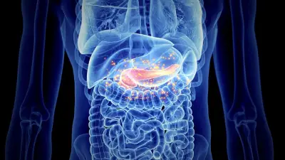Keto-Diät entlastet Bauchspeicheldrüse bei Typ-2-Diabetes