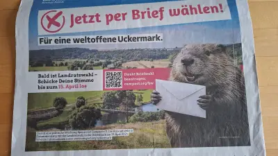 KI-Biber wirbt für Briefwahl in der Uckermark: AfD fühlt sich durch Campact-Kampagne bedrängt