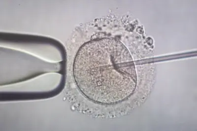 Kinderwunsch in Sachsen-Anhalt: Förderanträge brechen ein - Finanzielle Hürden als Hauptgrund