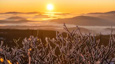 Kältewelle kommt früher: Eisheiligen verlieren an Bedeutung durch Klimawandel