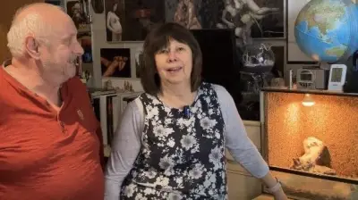 Königspython als Mitbewohner: 1,20 Meter lange Würgeschlange begeistert Familie in Prenzlau