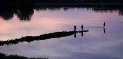 Korruptionsfall in Hamburg: Bewährungsstrafen für illegale Fischerei-Scheine