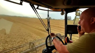 Kostenexplosion in der Landwirtschaft: Diesel und Dünger bedrohen Bauernhöfe