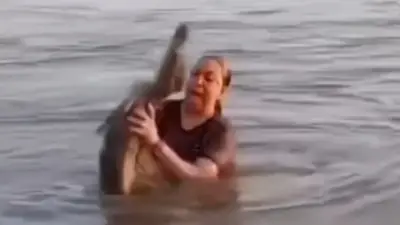 Krokodil-Alarm in mexikanischer Lagune: Frau spürt gefährlichen Begleiter beim Baden