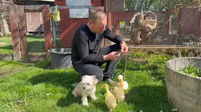 Kult-Tierpfleger Jörg Gräser zieht Gänse für Weihnachtsbraten auf