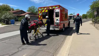 Lebensgefährlicher Bienenangriff: Wanderer erleidet über 100 Stiche bei Bergtour in Arizona