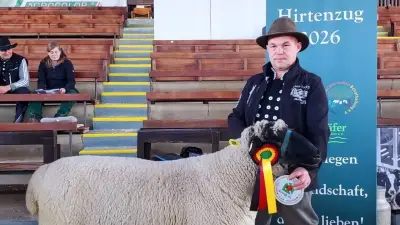 Luxus auf vier Beinen: Warum Schafböcke aus Mecklenburg-Vorpommern Spitzenpreise erzielen