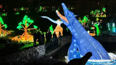 Magische Lichterwelten in Halle: Zukunft ungewiss nach Besucherrückgang