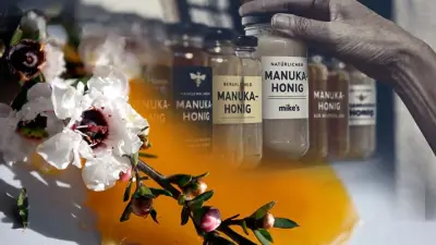 Manuka-Honig-Skandal in Deutschland: Experte warnt vor gefälschtem Neuseeland-Nektar