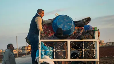 Migrationsexperte Thym: 80-Prozent-Rückführung von Syrern ist unrealistisch