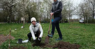 Münchens erster Waldgarten entsteht in Berg am Laim: Grüne Oase für Gemeinschaft und Nachhaltigkeit